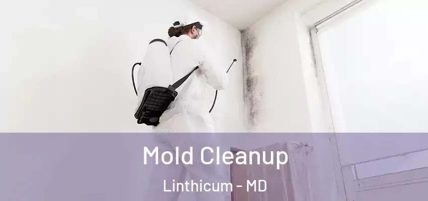  Mold Cleanup Linthicum - MD