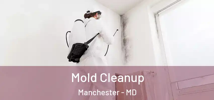 Mold Cleanup Manchester - MD