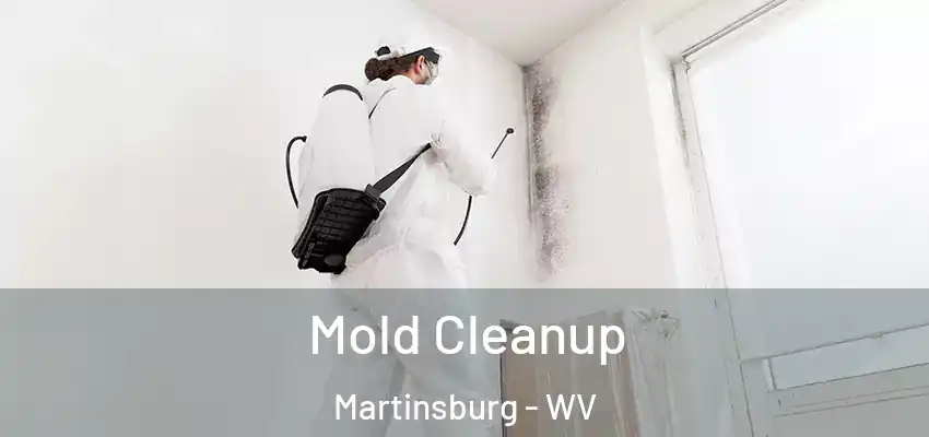 Mold Cleanup Martinsburg - WV