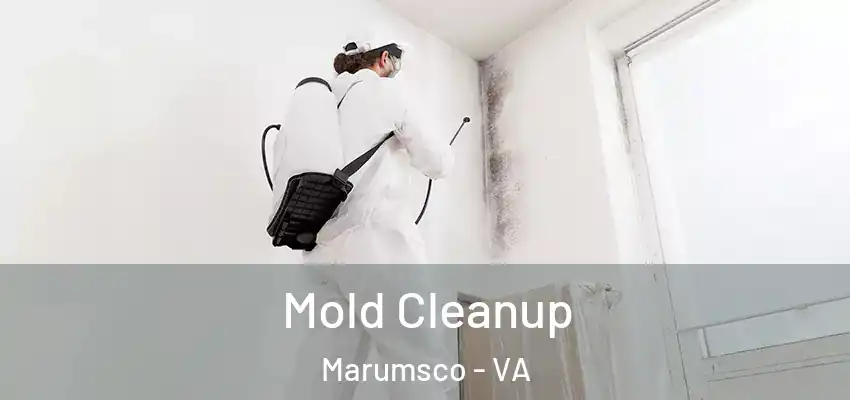  Mold Cleanup Marumsco - VA