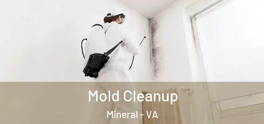 Mold Cleanup Mineral - VA