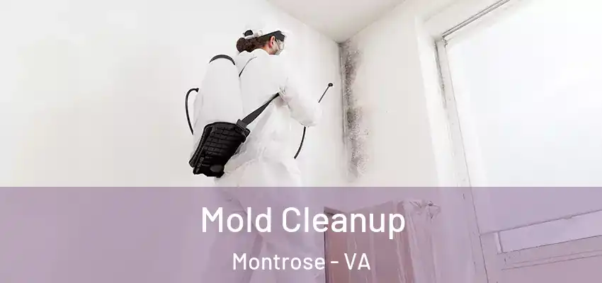 Mold Cleanup Montrose - VA