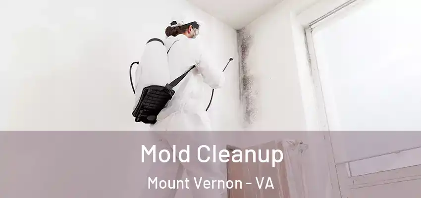 Mold Cleanup Mount Vernon - VA
