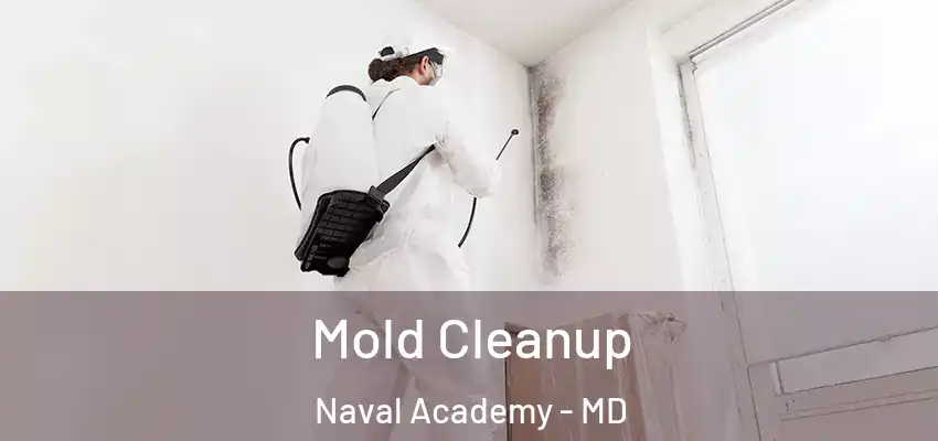 Mold Cleanup Naval Academy - MD