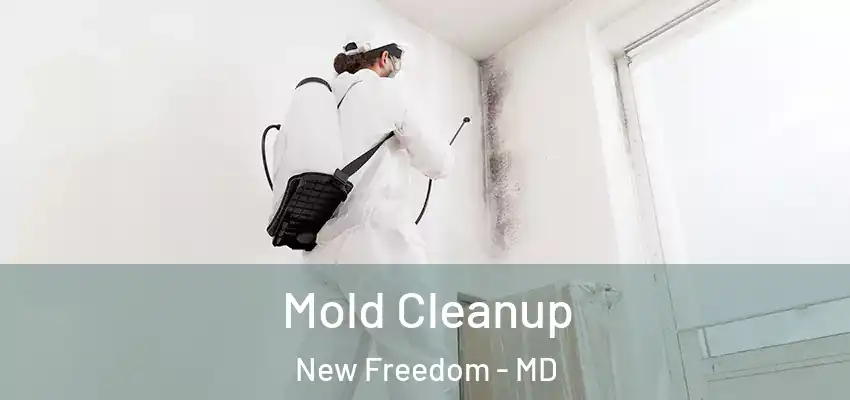 Mold Cleanup New Freedom - MD