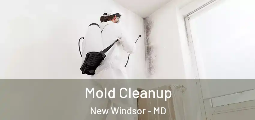 Mold Cleanup New Windsor - MD