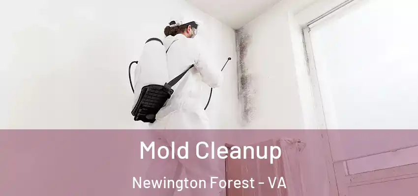  Mold Cleanup Newington Forest - VA