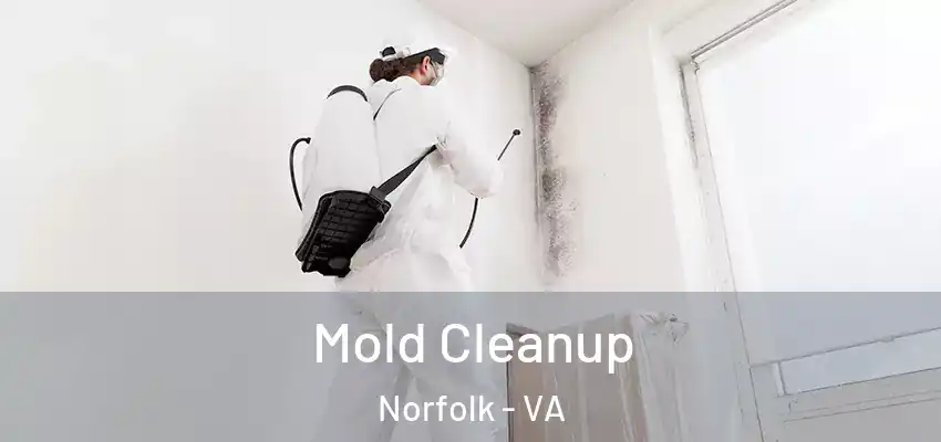 Mold Cleanup Norfolk - VA