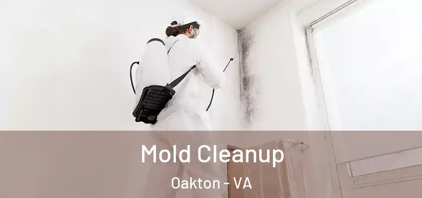 Mold Cleanup Oakton - VA