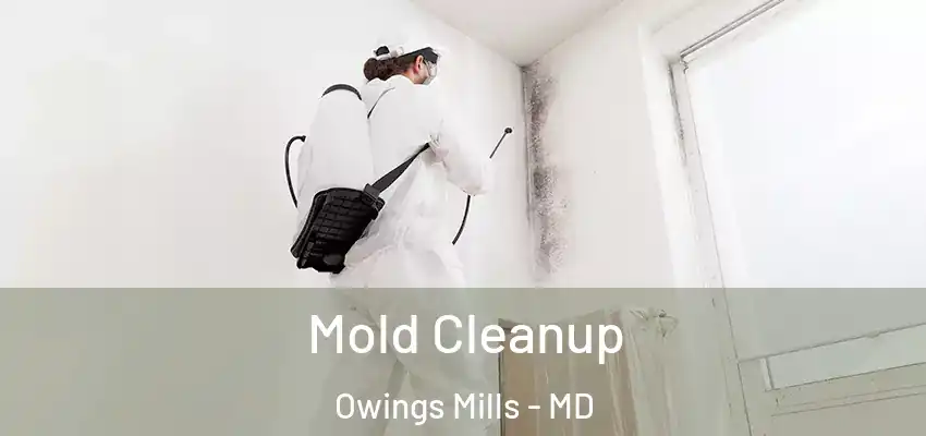  Mold Cleanup Owings Mills - MD