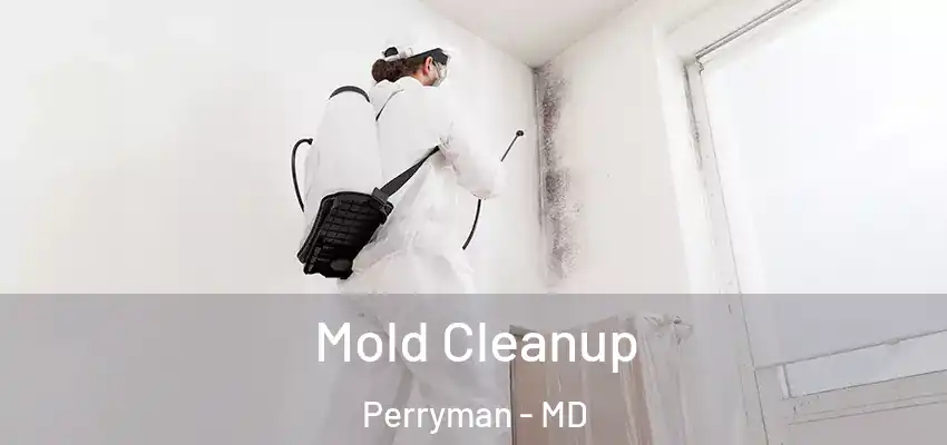  Mold Cleanup Perryman - MD