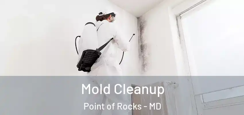  Mold Cleanup Point of Rocks - MD
