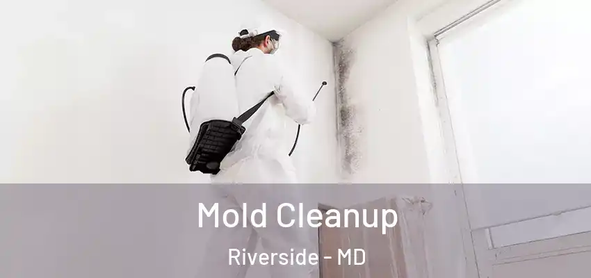  Mold Cleanup Riverside - MD