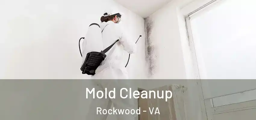  Mold Cleanup Rockwood - VA