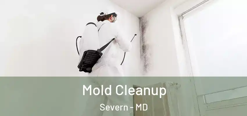  Mold Cleanup Severn - MD