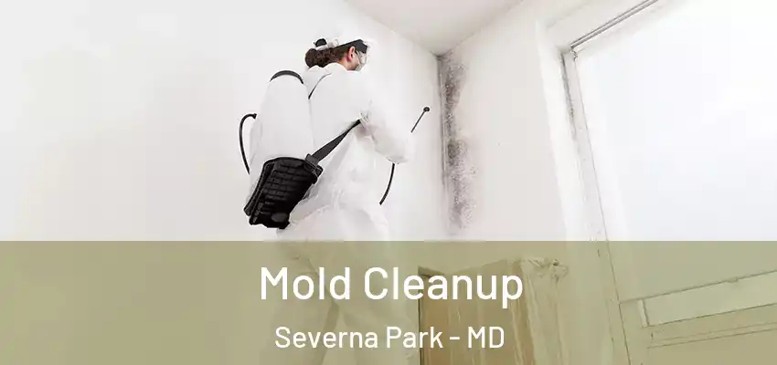 Mold Cleanup Severna Park - MD