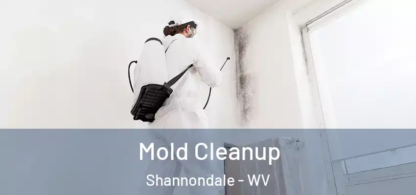 Mold Cleanup Shannondale - WV