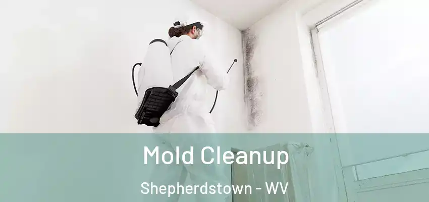 Mold Cleanup Shepherdstown - WV