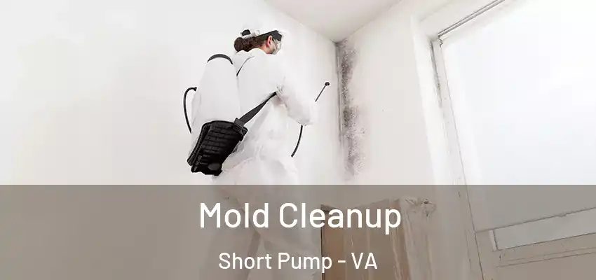  Mold Cleanup Short Pump - VA