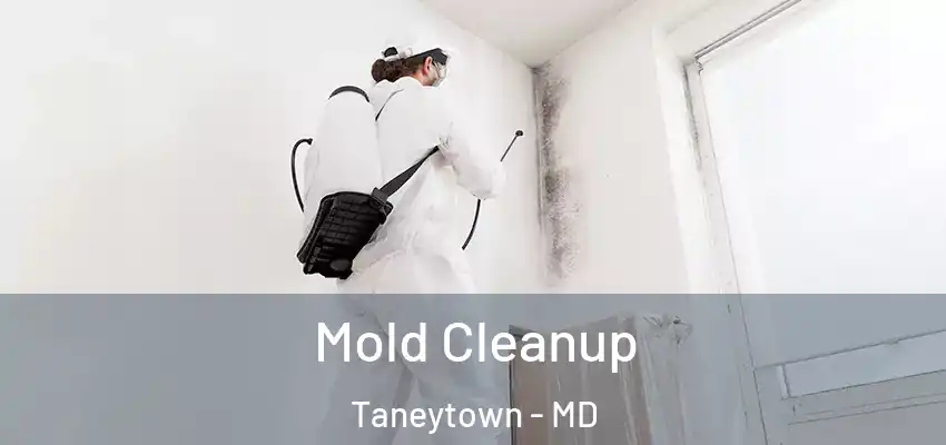 Mold Cleanup Taneytown - MD