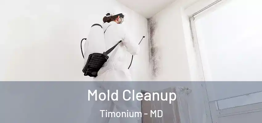  Mold Cleanup Timonium - MD