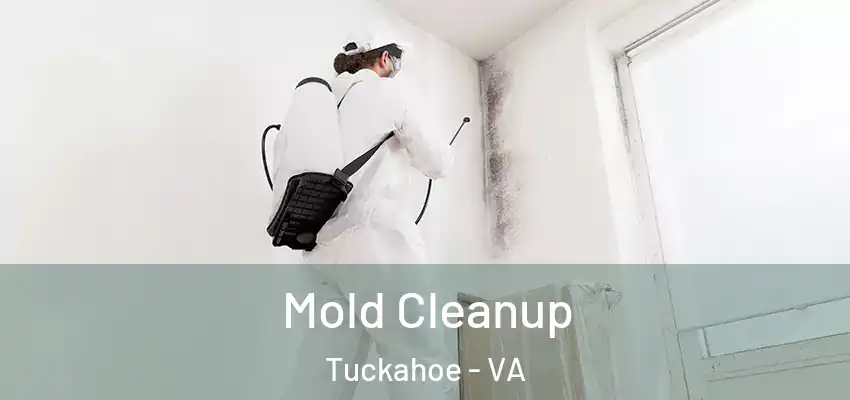 Mold Cleanup Tuckahoe - VA