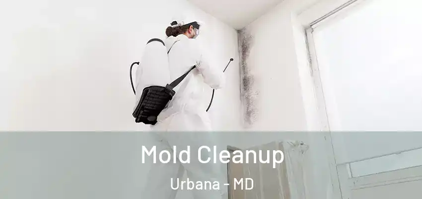 Mold Cleanup Urbana - MD