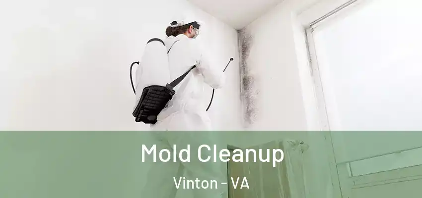  Mold Cleanup Vinton - VA