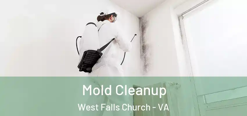 Mold Cleanup West Falls Church - VA