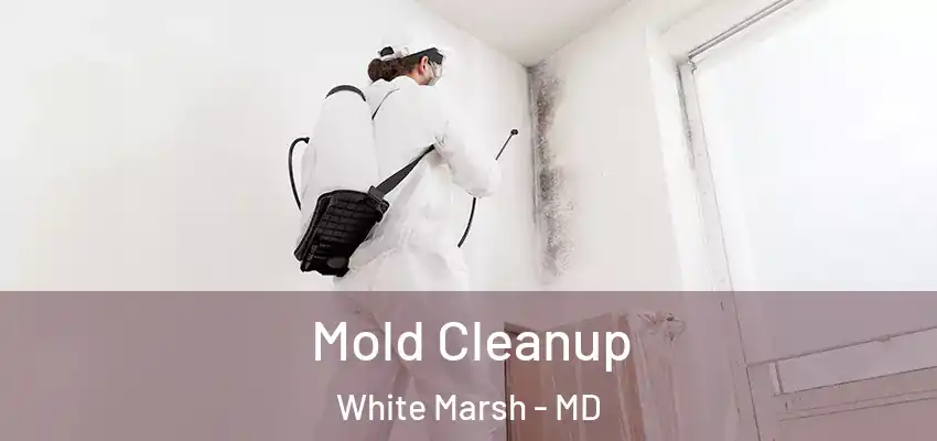 Mold Cleanup White Marsh - MD