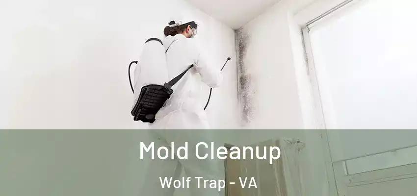  Mold Cleanup Wolf Trap - VA