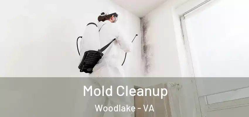 Mold Cleanup Woodlake - VA