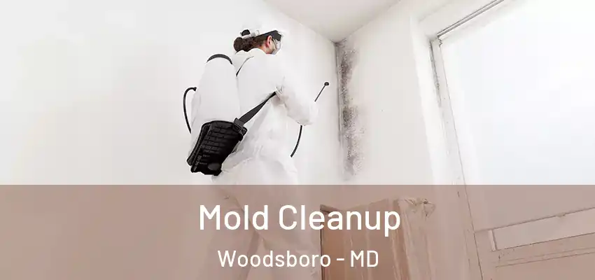 Mold Cleanup Woodsboro - MD