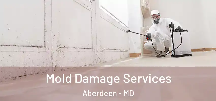 Mold Damage Services Aberdeen - MD