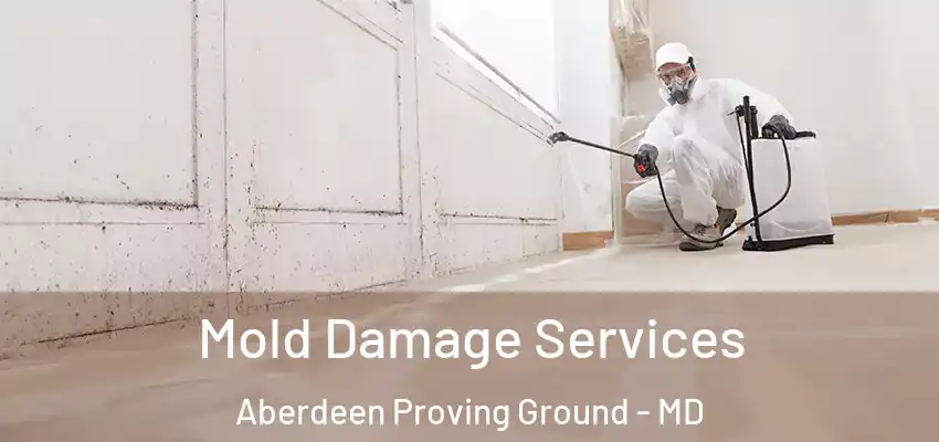 Mold Damage Services Aberdeen Proving Ground - MD