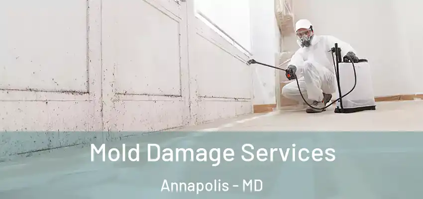 Mold Damage Services Annapolis - MD