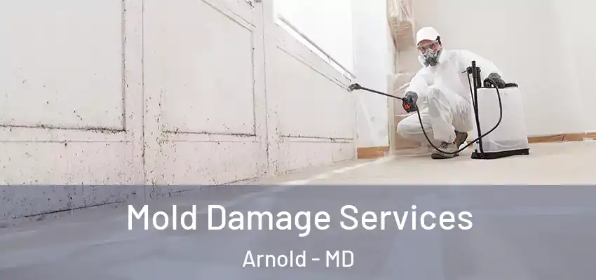  Mold Damage Services Arnold - MD