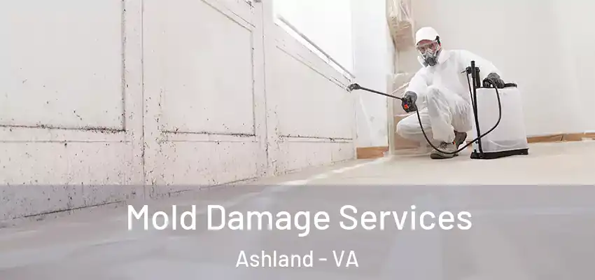  Mold Damage Services Ashland - VA