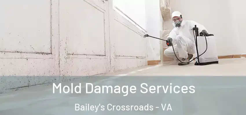  Mold Damage Services Bailey's Crossroads - VA