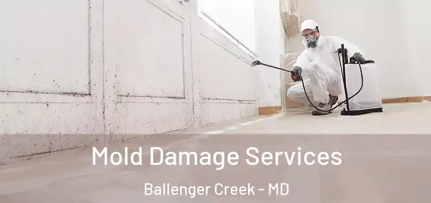 Mold Damage Services Ballenger Creek - MD
