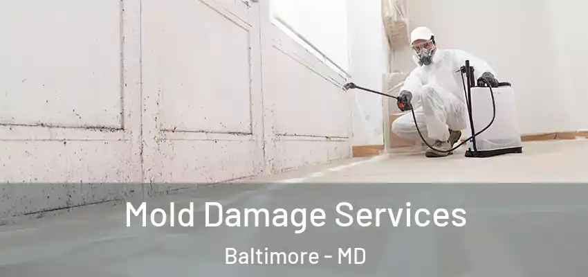 Mold Damage Services Baltimore - MD