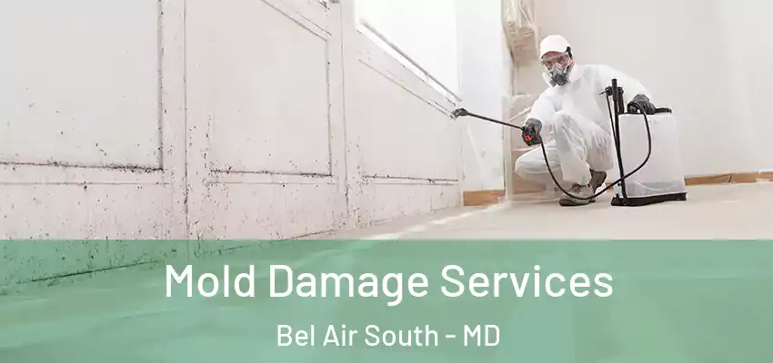  Mold Damage Services Bel Air South - MD
