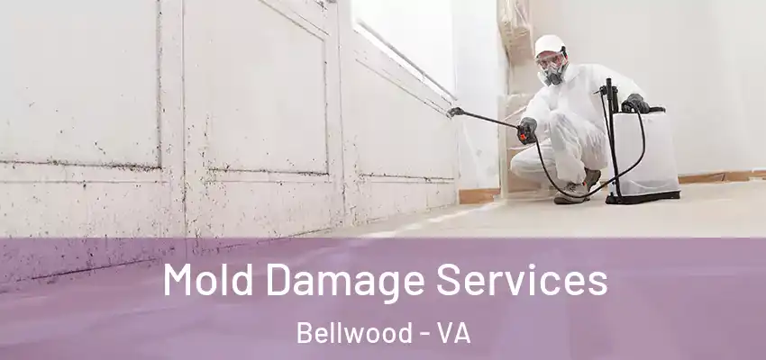 Mold Damage Services Bellwood - VA