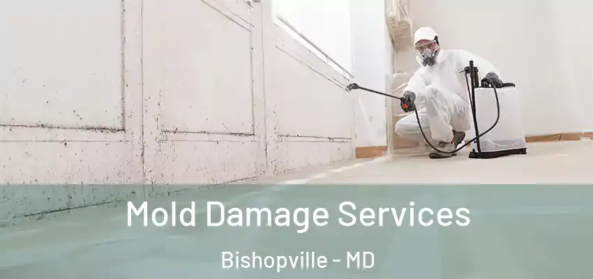  Mold Damage Services Bishopville - MD