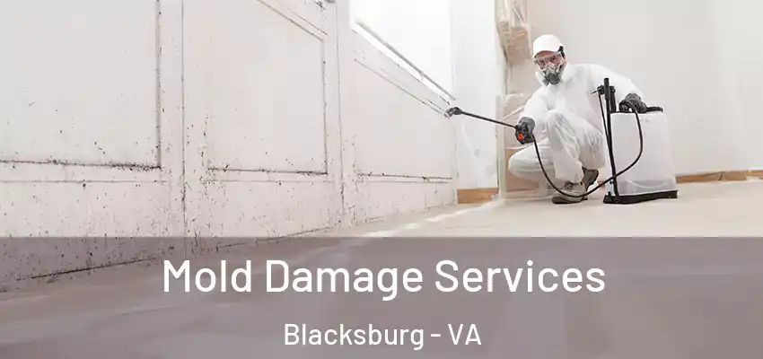  Mold Damage Services Blacksburg - VA