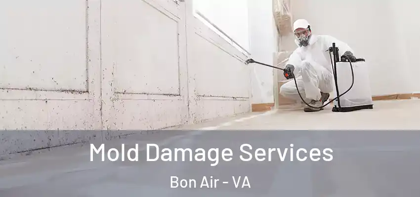 Mold Damage Services Bon Air - VA