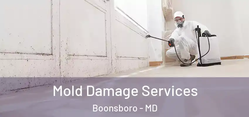  Mold Damage Services Boonsboro - MD