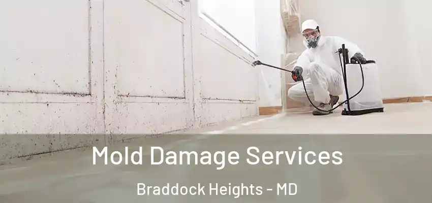 Mold Damage Services Braddock Heights - MD