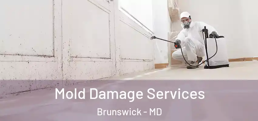 Mold Damage Services Brunswick - MD