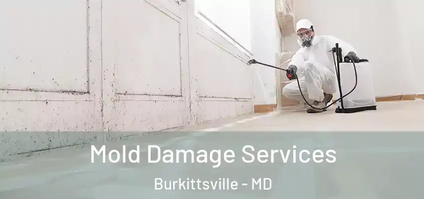 Mold Damage Services Burkittsville - MD